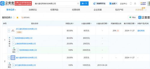 愷英網絡嘉興布局 投資成立網絡科技公司，拓展信息技術咨詢服務新賽道
